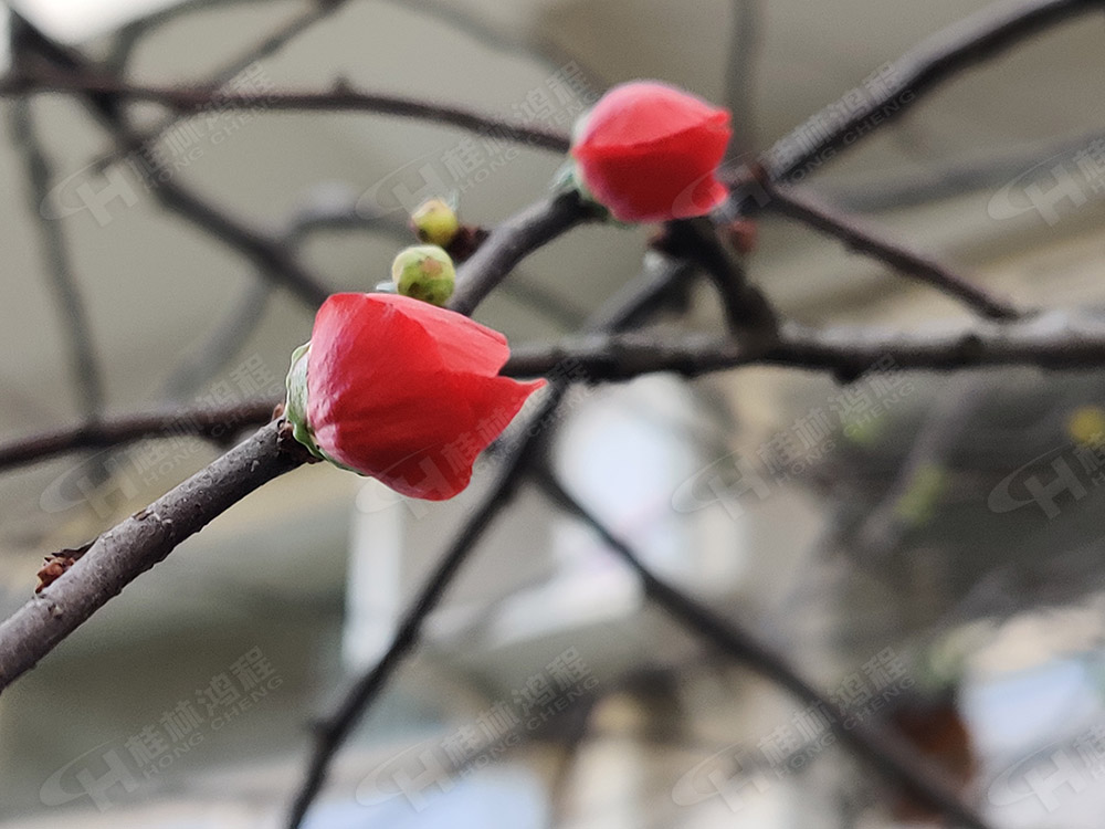 桂林鴻程花團(tuán)錦簇，滿園春色，邀您一起共賞春景，共商大計(jì)！