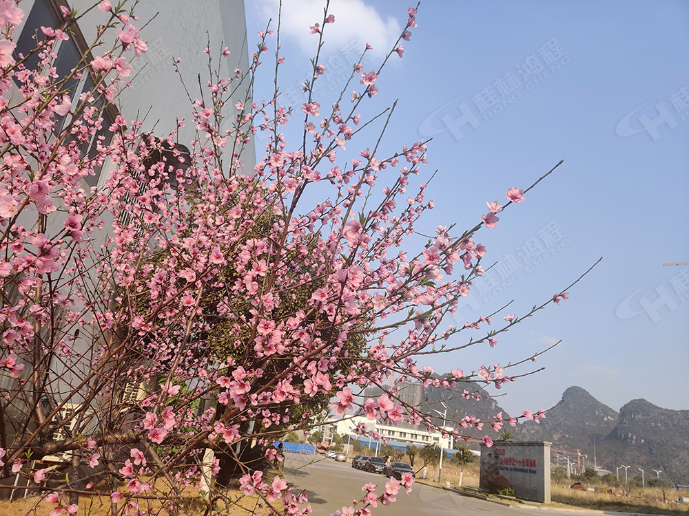 桂林鴻程花團(tuán)錦簇，滿園春色，邀您一起共賞春景，共商大計(jì)！